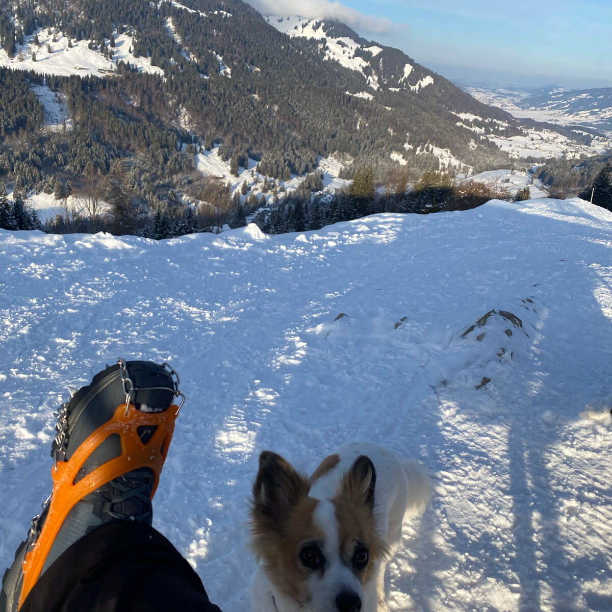 Winterwanderung mit Spikes und Hund im verschneiten Gunzesrieder Tal mit Blick auf die Allgäuer Berge