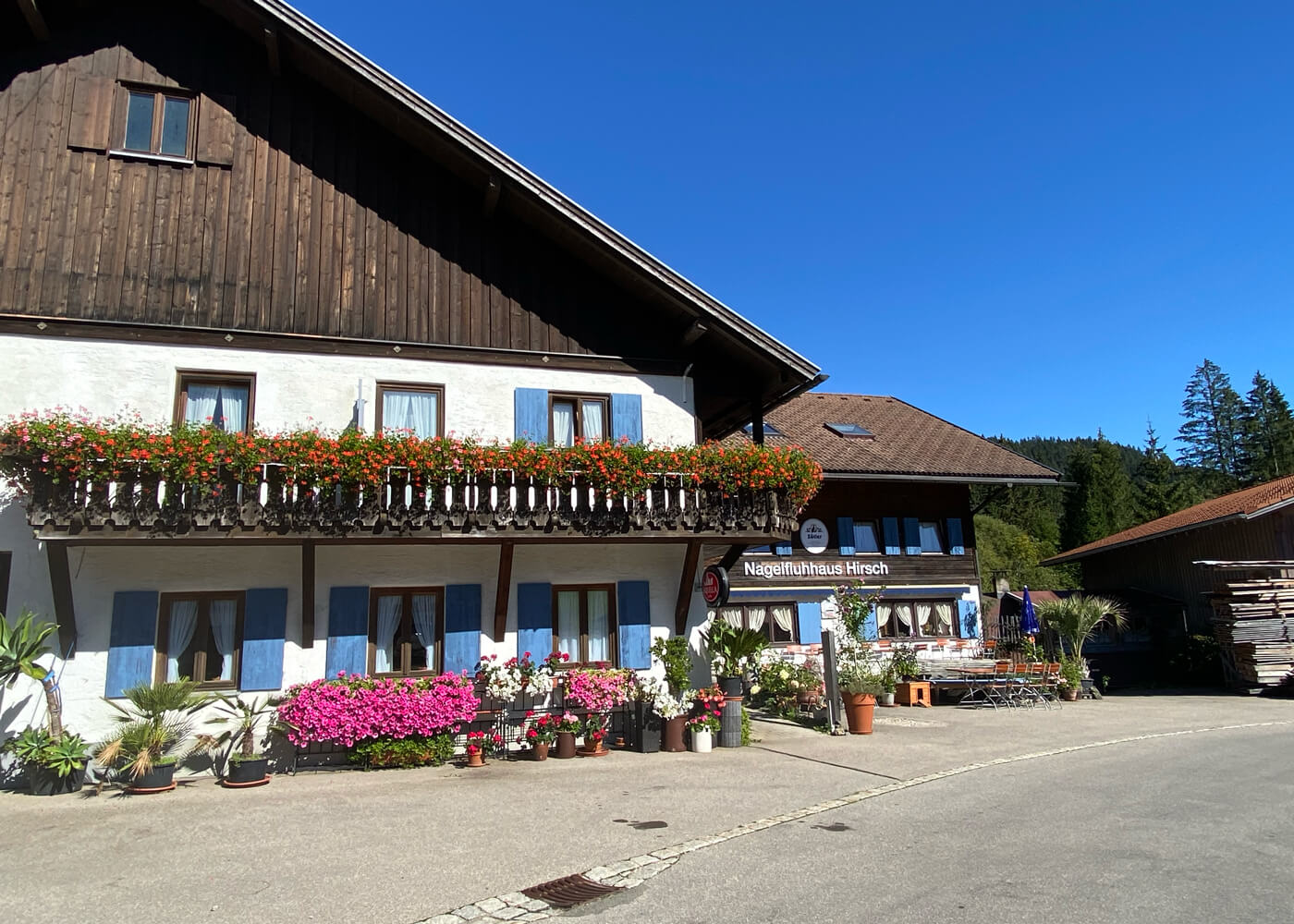 Traditionelles Allgäuer Gästehaus Nagelfluhhaus Hirsch mit blumengeschmücktem Balkon an einem sonnigen Tag im Gunzesrieder Tal